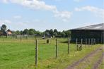 Accommodatie voor meerdere paarden te huur, Dieren en Toebehoren, Stalling en Weidegang, Weidegang, 4 paarden of pony's of meer