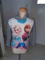 mooie frozen trui maat 134   -k1, Ophalen of Verzenden, Zo goed als nieuw, Meisje, Trui of Vest