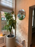 Behang, Ophalen of Verzenden, Minder dan 10 m², Beige