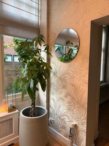 Behang beschikbaar voor biedingen