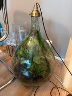 Terrarium 65 cm hoog, Huis en Inrichting, Ophalen, Gebruikt