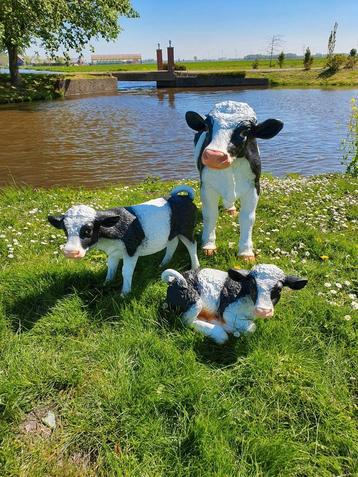 Set Krul Koeien in de aanbieding beschikbaar voor biedingen