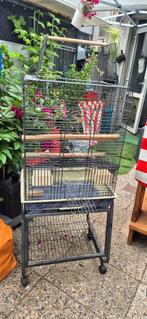 papagaaien kooi, Ophalen, Zo goed als nieuw, Vogelkooi