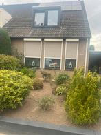 Elektrisch Rolluiken, Doe-het-zelf en Verbouw, Rolluiken, Ophalen of Verzenden