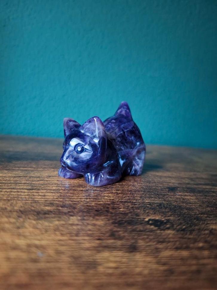 Kat chevron, Verzamelen, Mineralen en Fossielen, Verzenden