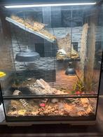 Terrarium 120/100/50 cm, Dieren en Toebehoren, Reptielen en Amfibieën | Toebehoren, Ophalen, Zo goed als nieuw