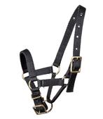 Nieuw Alpaca halster maat XS,S,M of L, Dieren en Toebehoren, Schapen, Geiten en Varkens, Meerdere dieren, Geit