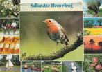 SALLAN Sallandse Heuvelrug, Verzamelen, Ansichtkaarten | Nederland, Verzenden, 1980 tot heden, Gelopen, Overijssel