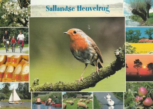 SALLAN Sallandse Heuvelrug, Verzamelen, Ansichtkaarten | Nederland, Gelopen, Overijssel, 1980 tot heden, Verzenden