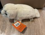 Zeehond, Ophalen of Verzenden, Nieuw, Overige typen