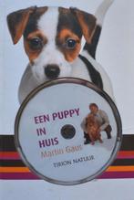 Martin Gaus: Een puppy in huis (plus dvd), Ophalen of Verzenden, Zo goed als nieuw, Honden