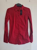 Guess top XS, Nieuw!, Guess, Nieuw, Ophalen of Verzenden, Maat 34 (XS) of kleiner