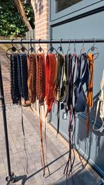Joss leren riemen - Nieuw - Diverse kleuren, Ophalen, Overige kleuren, Echt leder, José