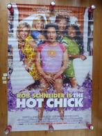 #27 Poster film The Hot Chick, Ophalen of Verzenden, Nieuw, Deurposter of groter, Film en Tv