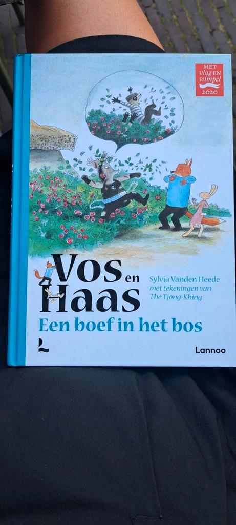 Sylvia Vanden Heede - Vos en Haas - Een boef in het bos, Boeken, Kinderboeken | Jeugd | onder 10 jaar, Zo goed als nieuw, Fictie algemeen