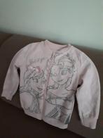 FROZEN VEST MAAT 110, Ophalen of Verzenden, Zo goed als nieuw, Meisje, Trui of Vest