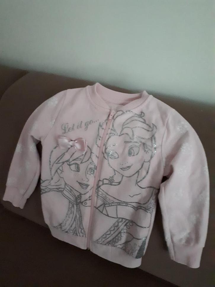 FROZEN VEST MAAT 110, Kinderen en Baby's, Kinderkleding | Maat 110, Zo goed als nieuw, Meisje, Trui of Vest, Ophalen of Verzenden