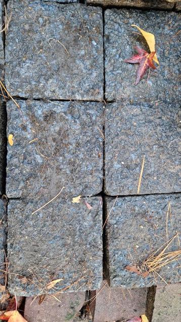 Gratis! 60 16x16 - Koperslakkeien beschikbaar voor biedingen