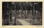 n878 Gelopen ansichtkaart van Rijssen 1938 In het Bosch, Verzenden, 1960 tot 1980, Gelopen