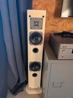 Quadral vloerstaande speakers, Zo goed als nieuw, 120 watt of meer, Front, Rear of Stereo speakers, Ophalen