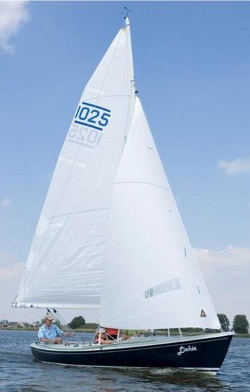 Randmeer Fok gezocht beschikbaar voor biedingen