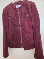 Suède Damesjasje - Stijlvol & Tijdloos!, Kleding | Dames, Jasjes, Kostuums en Pakken, Maat 42/44 (L), Ophalen of Verzenden, Zo goed als nieuw