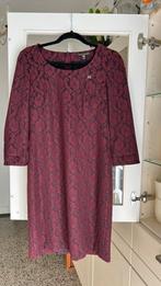 SCAPA bordeaux-rode semi-kanten jurk in mt 36/38, Maat 38/40 (M), Nieuw, Ophalen of Verzenden, Knielengte