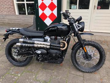 Triumph SCRAMBLER 900 FAT TANK (bj 2025) beschikbaar voor biedingen