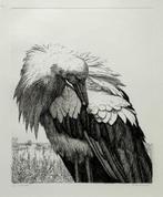 132. Ets, Erik van Ommen – ooievaar, eind 20e eeuw, Ophalen of Verzenden