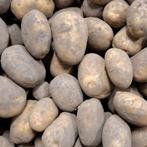 Frieslanders Aardappelen uit eigen tuin 5 kg 2,50, Ophalen of Verzenden