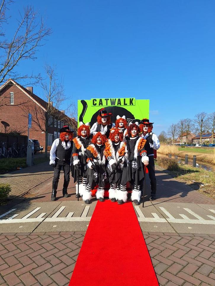 Loopgroep carnaval CATWALK, Kleding | Dames, Carnavalskleding en Feestkleding, Zo goed als nieuw, Carnaval, Maat 42/44 (L), Ophalen