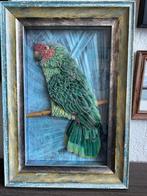 Schilderij papegaai klein, Ophalen, Minder dan 50 cm, Gebruikt, Schilderij