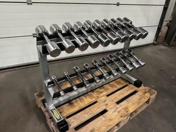 Technogym  Dumbells 1kg t/m 10kg + Technogym Opbergrek beschikbaar voor biedingen