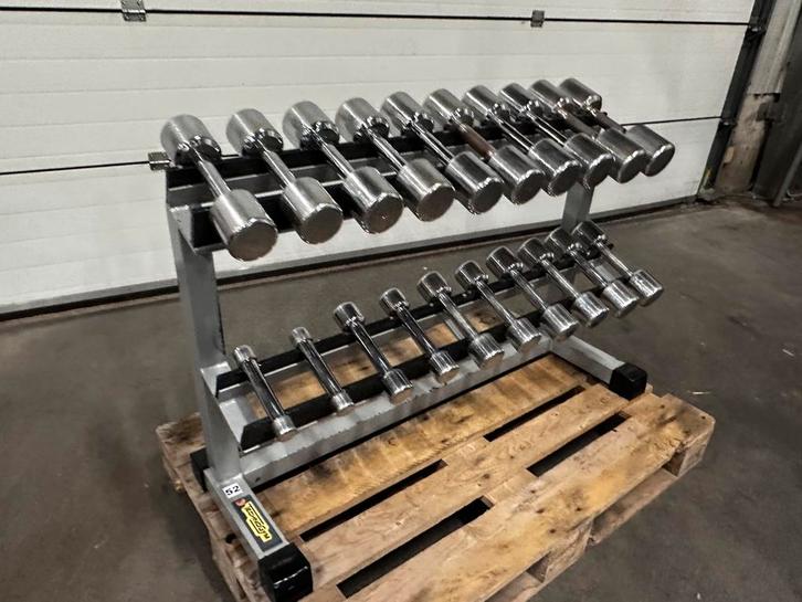 Technogym  Dumbells 1kg t/m 10kg + Technogym Opbergrek, Sport en Fitness, Fitnessmaterialen, Gebruikt, Dumbbell, Ophalen