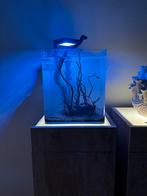 DENNERLE 30l Aquarium, Dieren en Toebehoren, Vissen | Aquaria en Toebehoren, Ophalen of Verzenden, Zo goed als nieuw, Leeg aquarium