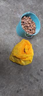 Walnoten, Diversen, Ophalen