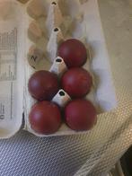 Tekoop marans eieren mooi egaal donkerbruin, Dieren en Toebehoren, Pluimvee, Geslacht onbekend, Kip