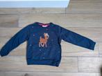 Meisjes trui van someone maat 122, Kinderen en Baby's, Kinderkleding | Maat 122, Meisje, Trui of Vest, Ophalen of Verzenden, Zo goed als nieuw