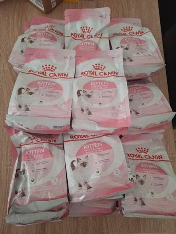 Royal canon kitten first agenda 22 zakjes 400gr beschikbaar voor biedingen