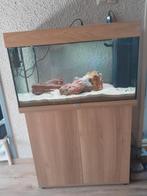 Juwel Rio 125 Licht hout, Dieren en Toebehoren, Ophalen, Gebruikt, Gevuld zoetwateraquarium