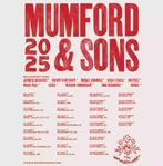 Mumford & Sons 2 tickets 17-11 (vak 112, rij 8), Tickets en Kaartjes, Twee personen, Maart