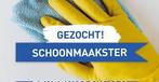 Schoonmaakster gezocht 13,50€ per uur, Variabele uren, Overige niveaus, Starter, Overige vormen