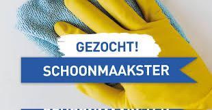 Schoonmaakster gezocht 13,50€ per uur, Vacatures, Vacatures | Schoonmaak en Facilitaire diensten, Overige niveaus, Starter, Overige vormen