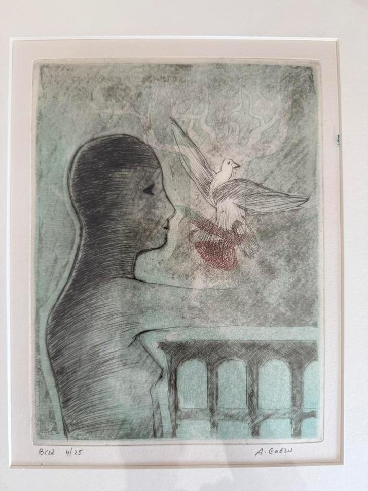 Bird, Antiek en Kunst, Kunst | Litho's en Zeefdrukken, Ophalen of Verzenden
