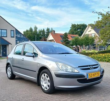 Peugeot 307 1.6 16V XT *AUTOMAAT* / APK 29-01-2026 beschikbaar voor biedingen