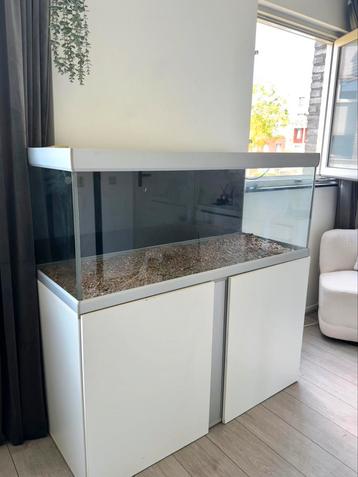 Terrarium beschikbaar voor biedingen