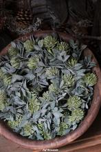 Krans met hop (kunst) M en XL, Www.jufbrocante.nl, Www.jufbrocante.nl, Nieuw, Ophalen of Verzenden