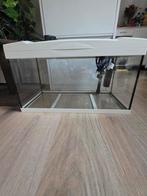 Aquarium 54 L, 60x30x30 cm, Dieren en Toebehoren, Ophalen, Leeg aquarium