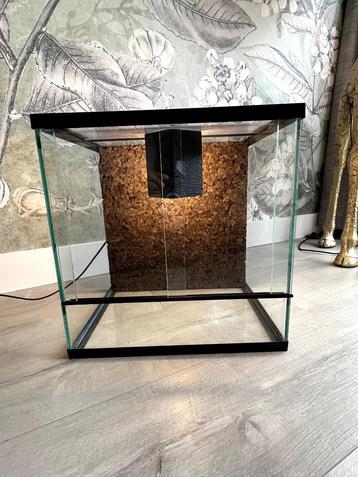 Terrarium met fitting + schuifdeurtjes beschikbaar voor biedingen