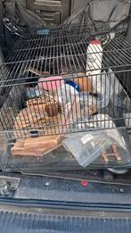 Royale glazen hamsterkooi inclusief toebehoren, Dieren en Toebehoren, Knaagdieren en Konijnen | Hokken en Kooien, Kooi, Hamster